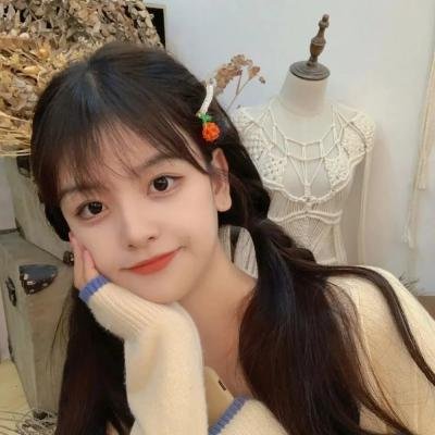 侦探韩森 在线观看